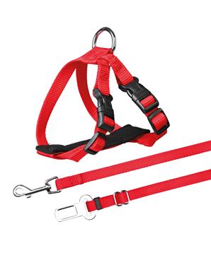 Levně Postroj do auta pro kočku 20-50cm 1 ks