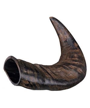 Levně Originální buvolí žvýkací roh malý