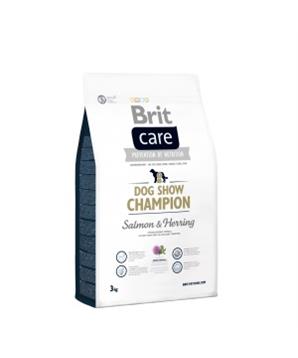 Brit Care Show Champion