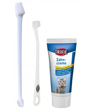 Levně Sada dentální hygieny pro kočky (pasta se sýrovou příchutí 50g, dva zubní kartáčky) 1 sada