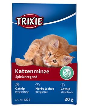 CATNIP (šanta) na povzbuzení