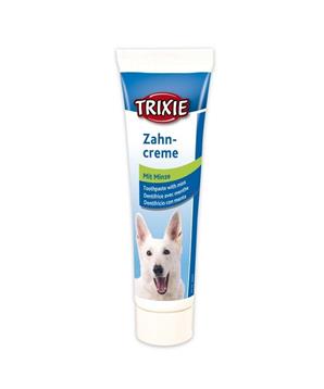 Zubní pasta s mátou 