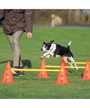 Levně Dog Activity překážky (3 ks) 23 x 30 cm/78 cm oranž/žlutá 1 set/3ks překážek