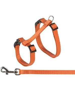 Levně Postroj pro kočky s vodítkem, 27-45 cm/ 10 mm, 1,2 m, různé barvy 1 ks