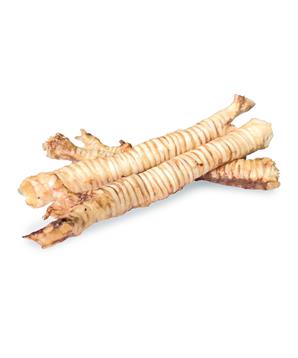 Vepřová průdušnice - trachea 