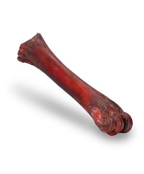 Levně KIDDOG 100 % Natural Snack, hovězí uzená holenní kost 1ks/20-24cm