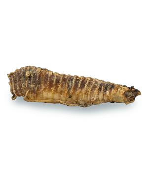 Levně KIDDOG 100% Natural Snack, hovězí trachea 12-13 cm 100g