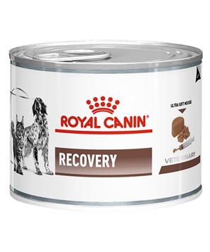 Royal Canin VD Cat/Dog konz. Recovery