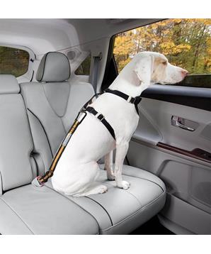 Levně Kurgo Bezpečnostní pás pro psa do auta Direct to Seatbelt Tether oranžový