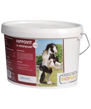 Hippovit H - Hoof & Coat 