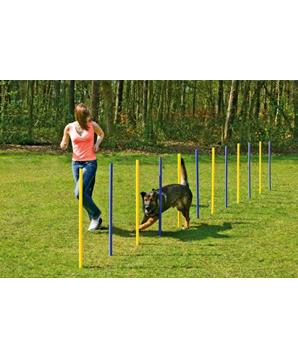 Levně Karlie Agility slalom žlutá/modrá 12x100cm