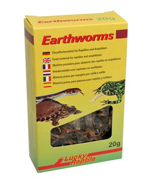 Lucky Reptile Earthworms 10g - exp. 11/24 - 1ks skladem