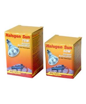 Lucky Reptile Halogen Sun 100W