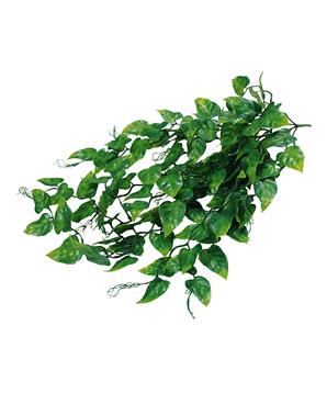 Lucky Reptile Jungle Plants Ivy Bush cca 50 cm