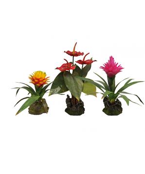 Lucky Reptile Jungle Plants kvetoucí Orchidej Lila, cca 40 cm bez základny