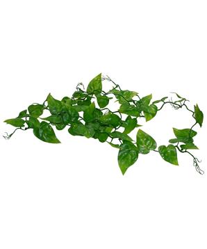 Lucky Reptile Jungle Vine Gape Leaf Vine cca 200 cm