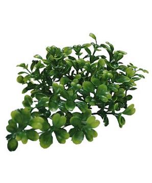 Levně Lucky Reptile Turtle Plants Bacopa cca 40 cm