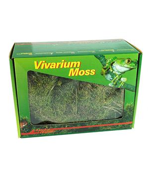 Lucky Reptile Vivarium Moss 150g