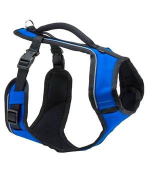 Levně Petsafe postroj, EasySport, modrý, velikost M
