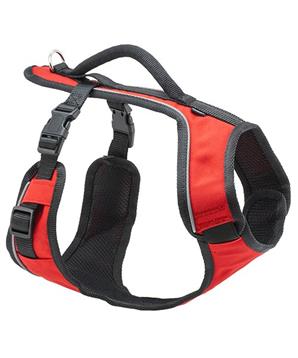 Levně Petsafe postroj, EasySport, červený, velikost L