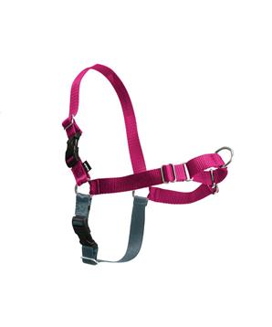 Levně Postroj EasyWalk , malinový M