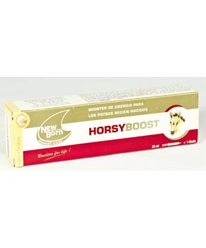 Horsyboost pst