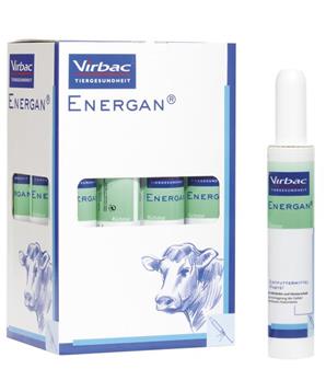Levně Energan Ketose pst 12x300g