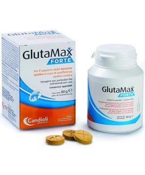 Levně GlutaMax Forte 30 tbl