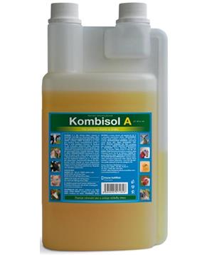 Levně Kombisol A a.u.v. sol 1000ml