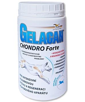Levně Gelacan Chondro Forte 500g