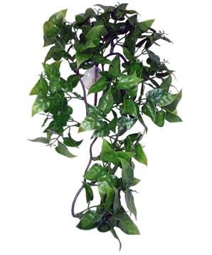Levně Dekorace umělá rostlina - popínavá Philodendron Komodo 30cm 1ks/30cm
