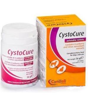 Levně Cystocure forte 30 tbl