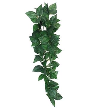 Levně Dekorace umělá rostlina - popínavá Sumatra Komodo 13cm 1ks/13cm