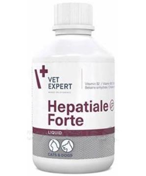 Levně Hepatiale Forte Liquid 250ml