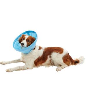 Levně Límec Buster z netkané textilie Soft Flex 10 cm