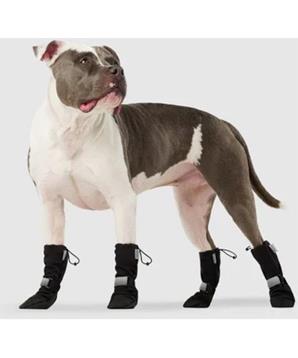 Levně Botičky sada Canada Pooch 5 černé 4 ks