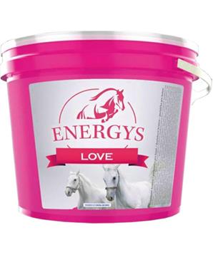 Levně Pamlsky pro koně Energys Love 2 kg