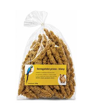 Proso senegalské žluté 