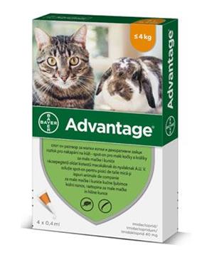 Levně Advantage 40 10% 4x0,4ml pro malé kočky a králíky