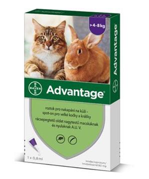 Levně Advantage 80 10% 1x0,8ml pro kočky nad 4kg