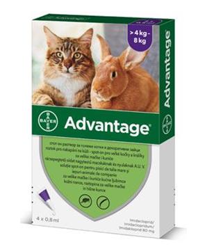 Levně Advantage 80 10% 4x0,8ml pro kočky nad 4kg