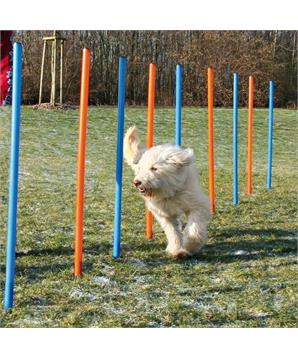 Levně AGILITY Slalom, tyče 12ks
