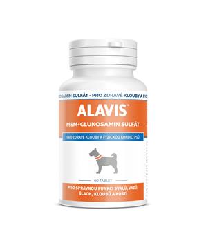 Levně Alavis MSM Glukosamin Sulfát 60 tbl