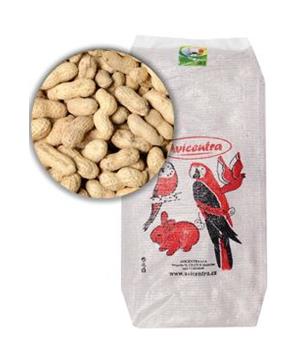 Levně Avicentra buráky ve skořápce 10kg