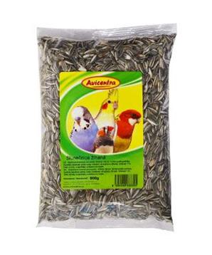 Levně Avicentra slunečnice žíhaná 1 kg