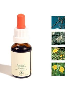 Levně Bachovy kapky - Strach 25 ml