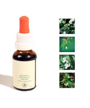 Levně Bachovy kapky - Agresivita 25 ml