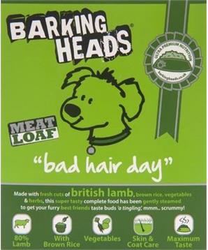 BARKING HEADS Bad Hair Day konz.
