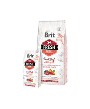 Brit Fresh Beef with Pumpkin Puppy Large Bones & Joints