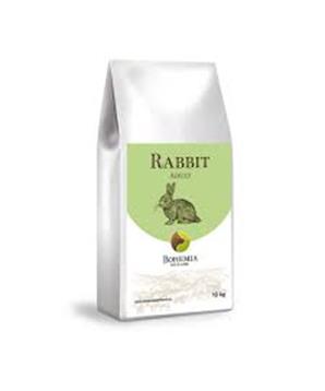 BOHEMIA Wild Adult Rabbit